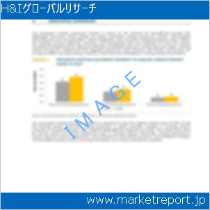 市場と産業調査レポートのイメージ